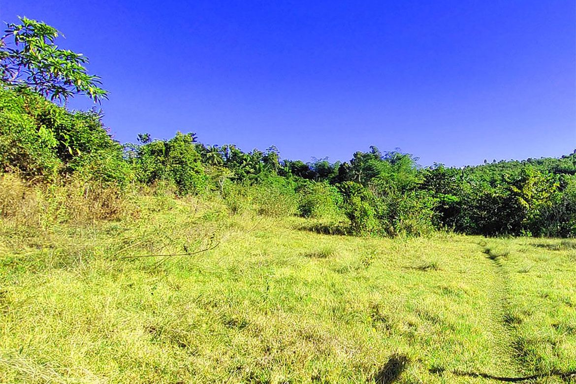 Land for Sale in Santa Cruz, Puerto Princesa, Palawan – photo 8