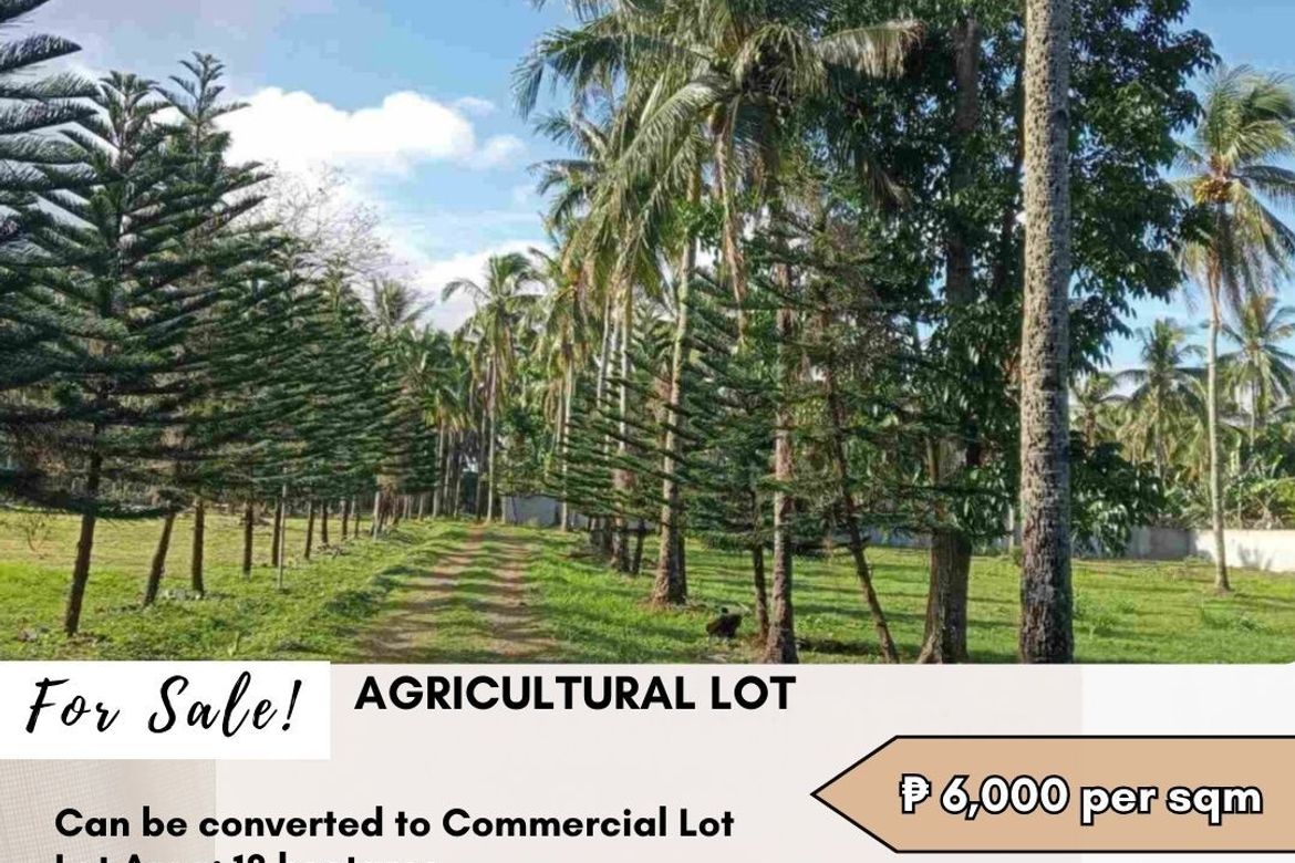 Land for Sale in Santa Cruz, Santo Tomas, Batangas