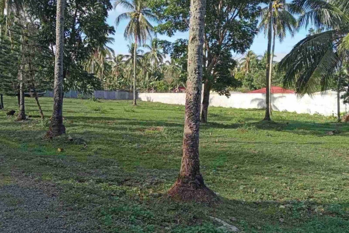 Land for Sale in Santa Cruz, Santo Tomas, Batangas – photo 2