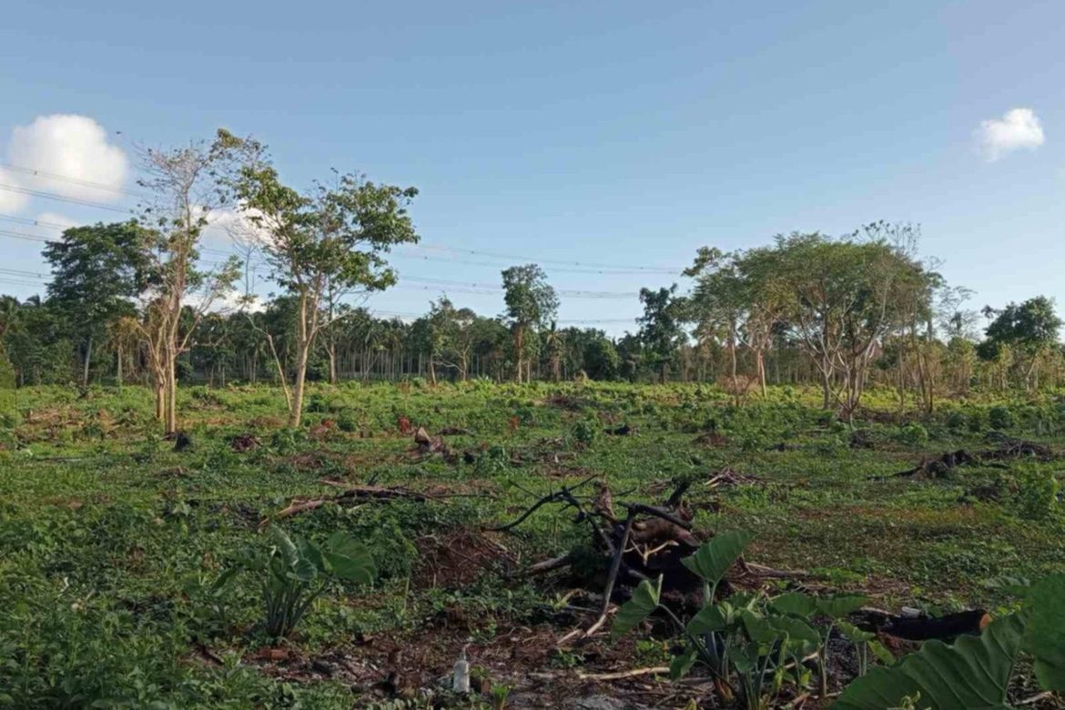 Land for Sale in Santa Cruz, Santo Tomas, Batangas – photo 4