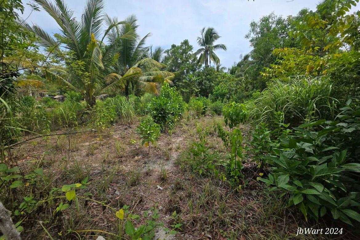 Land for Sale in Santa Fe, General Luna, Surigao del Norte – photo 8