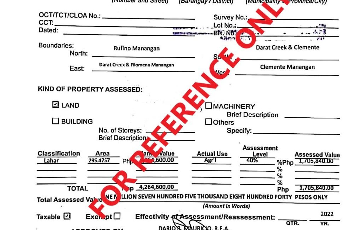 Land for Sale in Santa Fe, San Marcelino, Zambales – photo 3