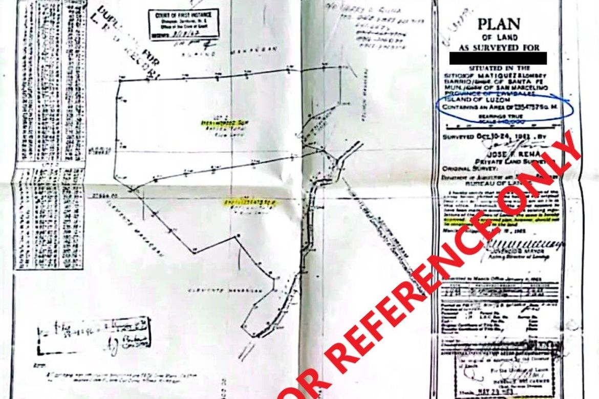Land for Sale in Santa Fe, San Marcelino, Zambales – photo 5