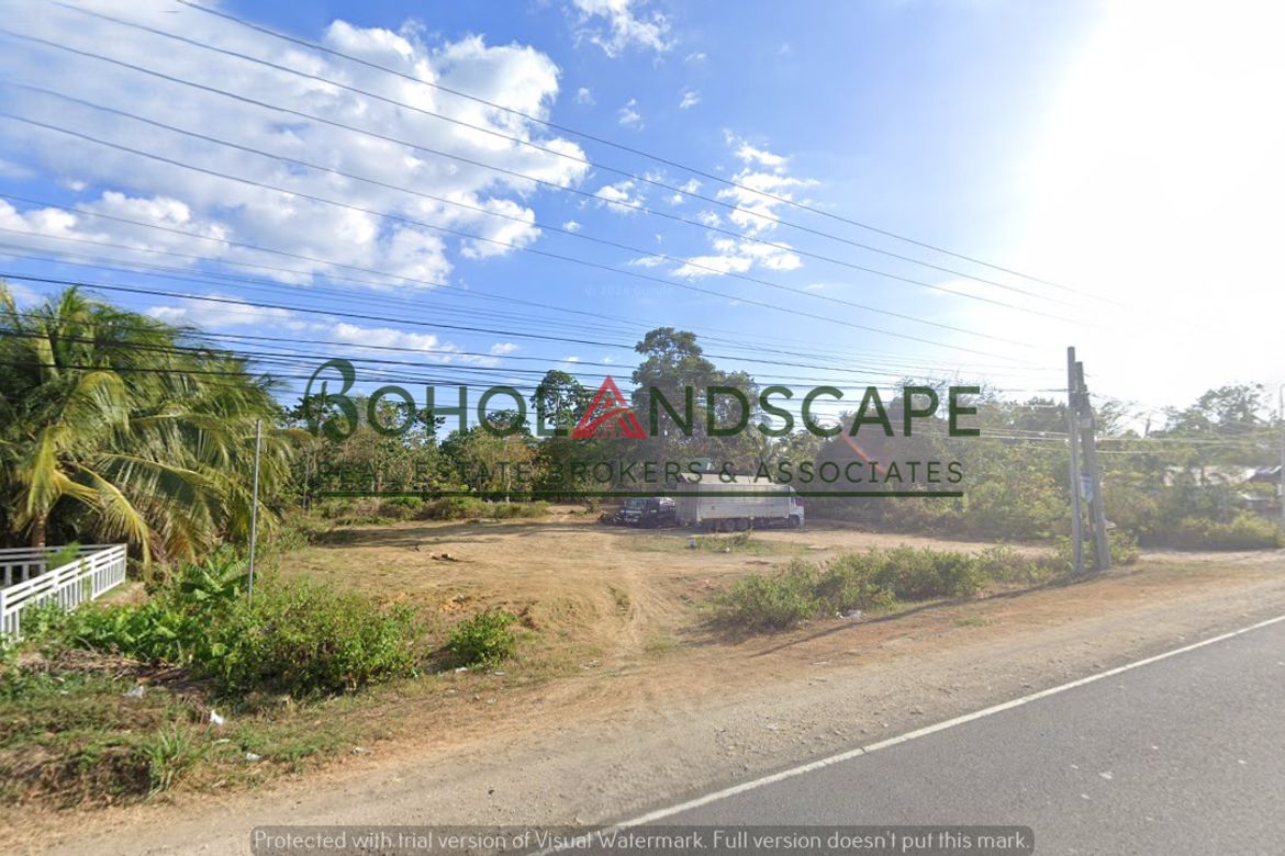 Land for Sale in Santa Filomena, Alburquerque, Bohol