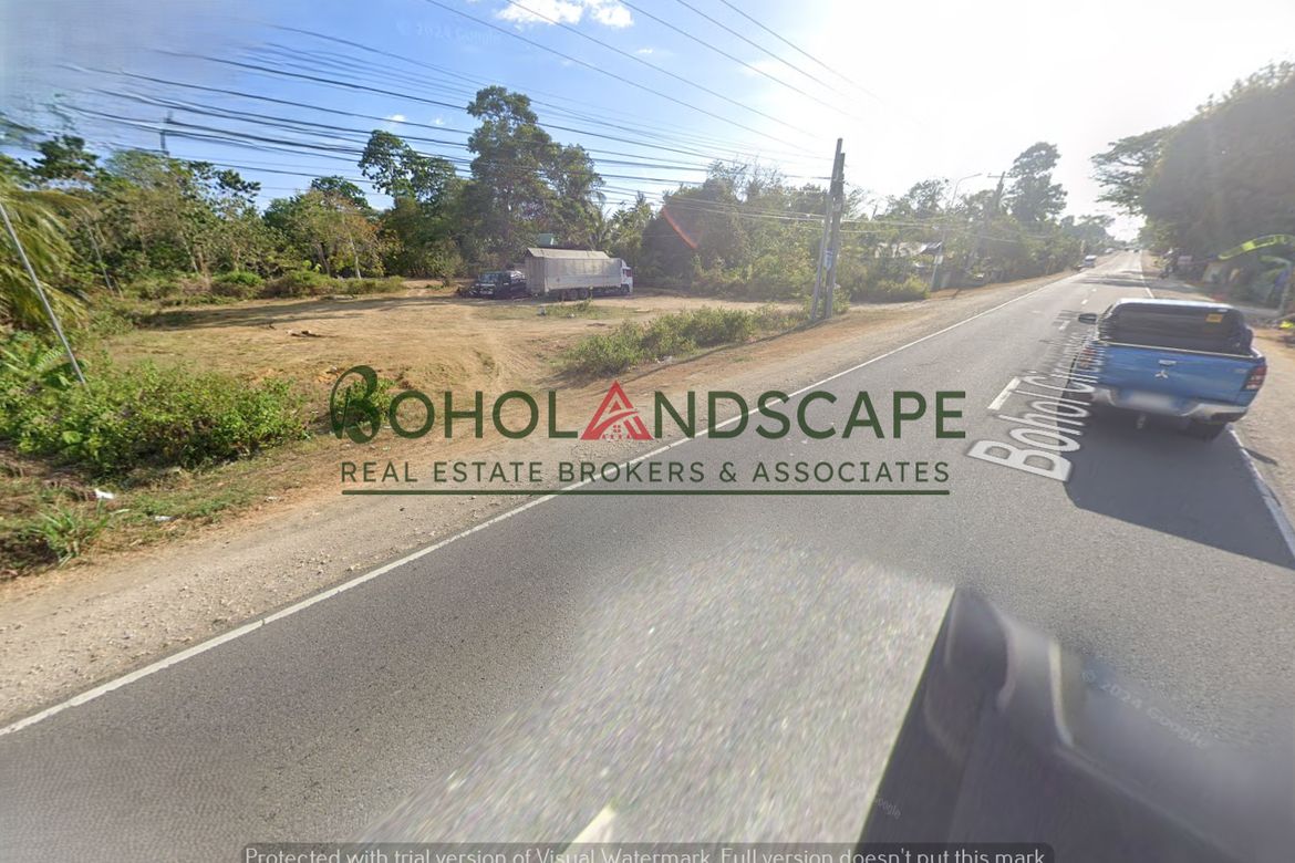Land for Sale in Santa Filomena, Alburquerque, Bohol – photo 5