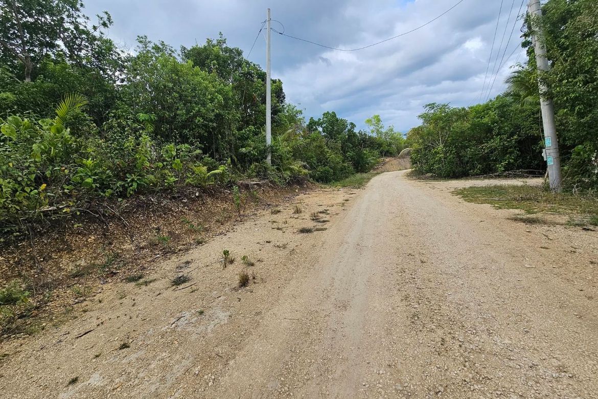 Land for Sale in Santa Filomena, Alburquerque, Bohol – photo 2