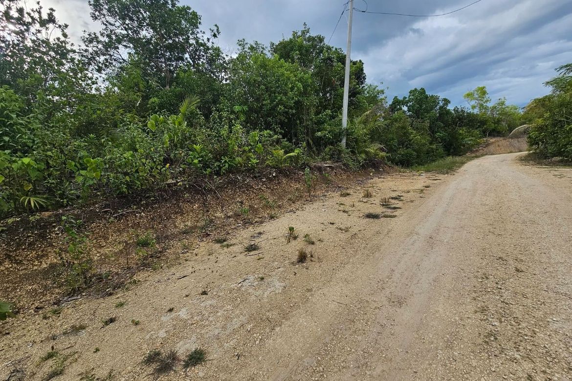 Land for Sale in Santa Filomena, Alburquerque, Bohol – photo 4