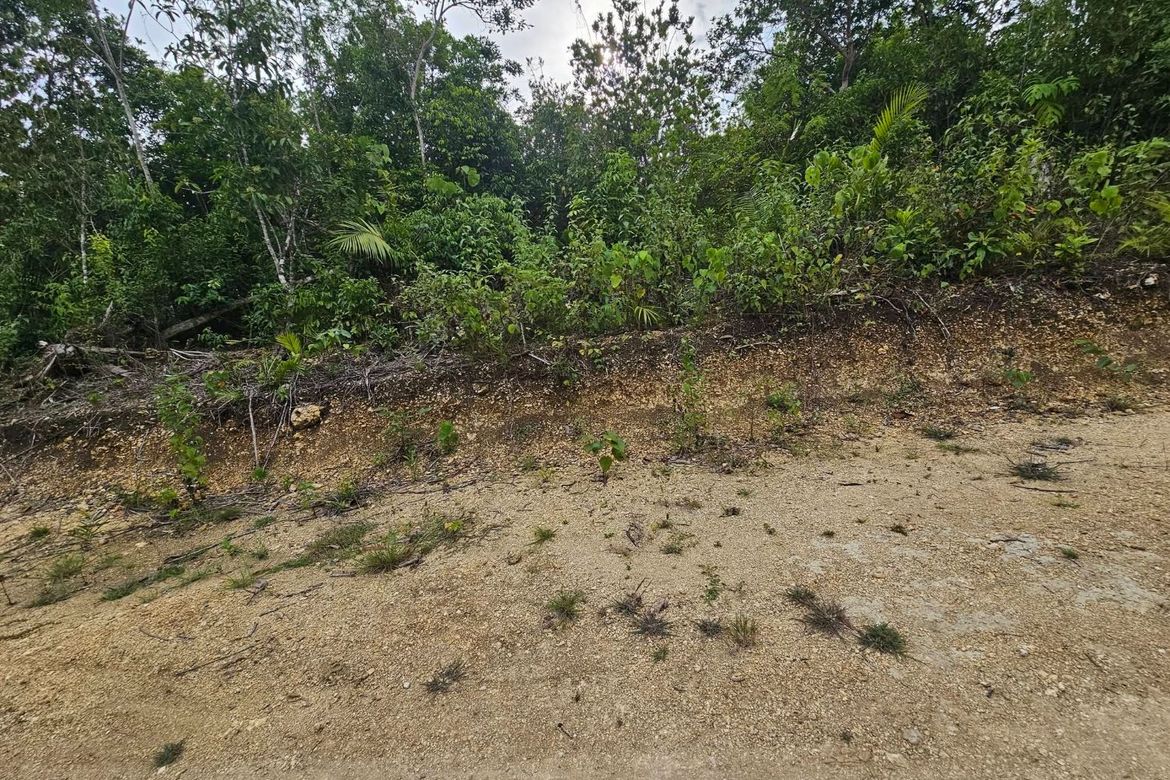 Land for Sale in Santa Filomena, Alburquerque, Bohol – photo 7