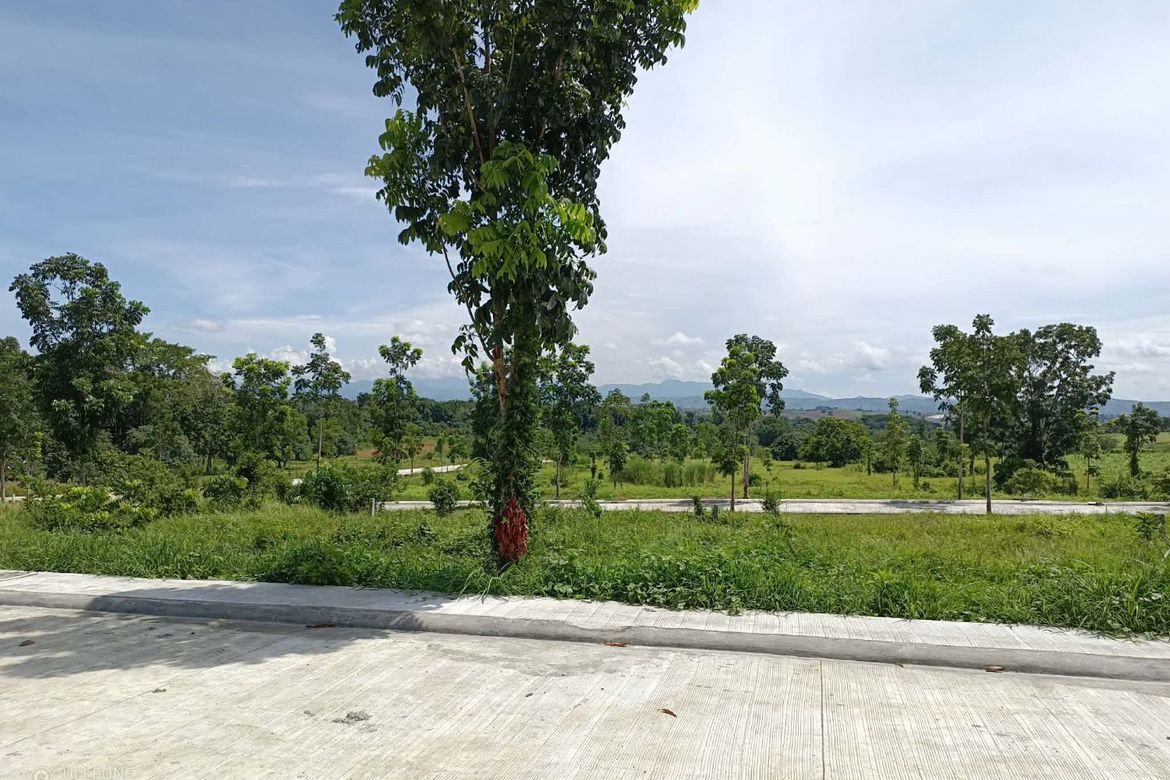 Land for Sale in Santa Filomina, San Mariano, Isabela – photo 7