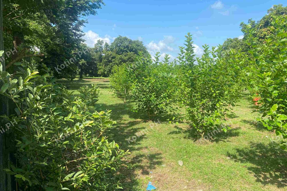 Land for Sale in Santa Ines, San Miguel, Bulacan – photo 4