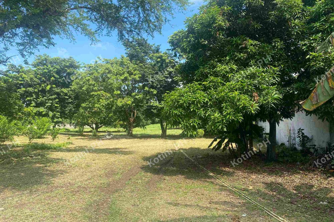 Land for Sale in Santa Ines, San Miguel, Bulacan – photo 8
