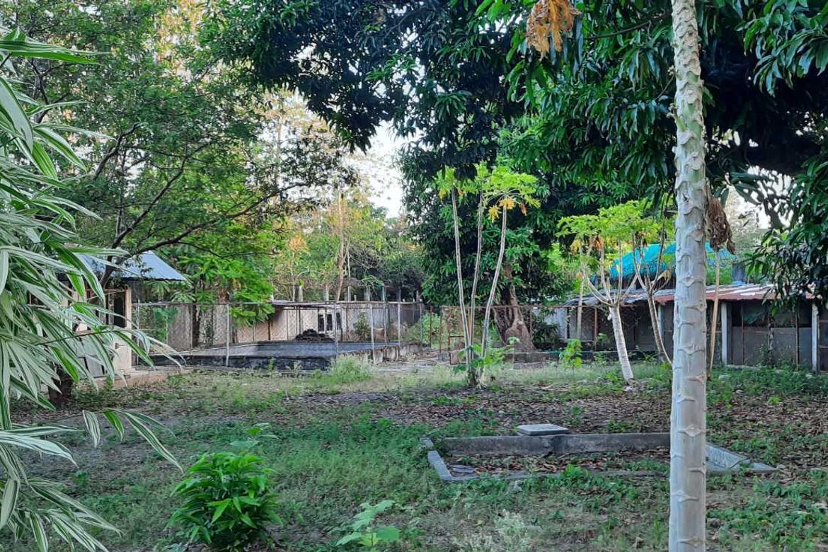 Land for Sale in Santa Isabel, Cabiao, Nueva Ecija