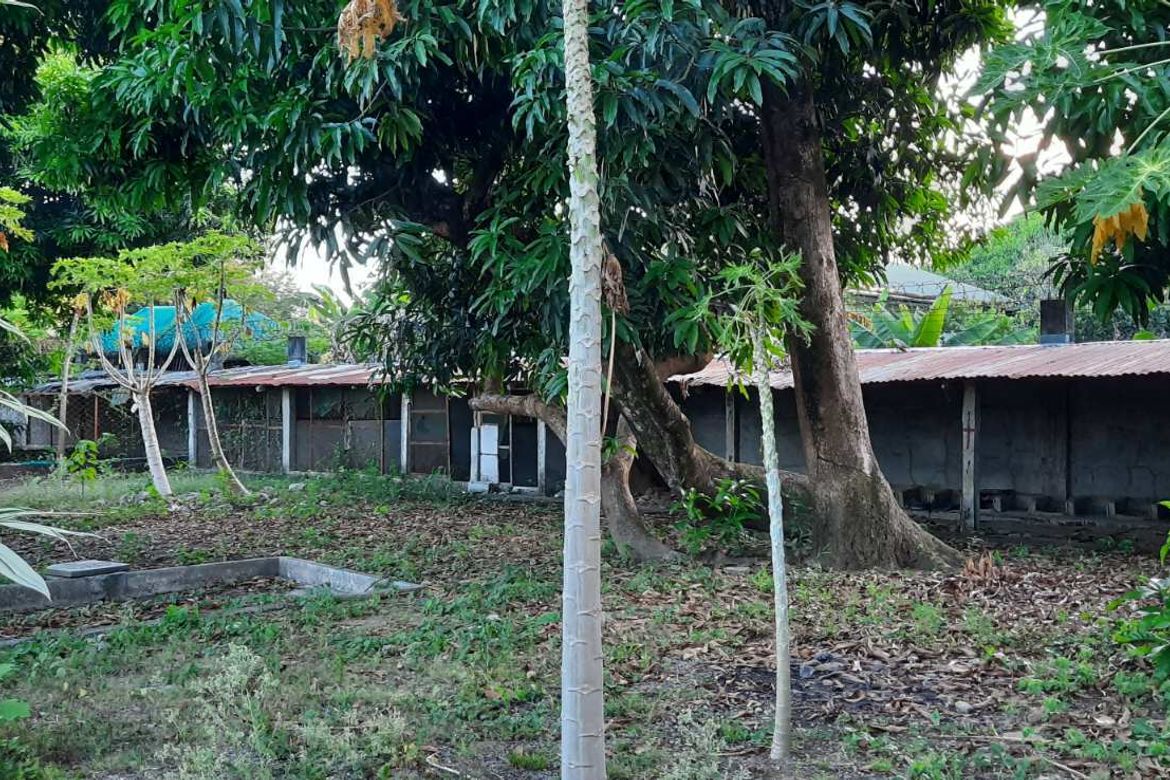 Land for Sale in Santa Isabel, Cabiao, Nueva Ecija – photo 7