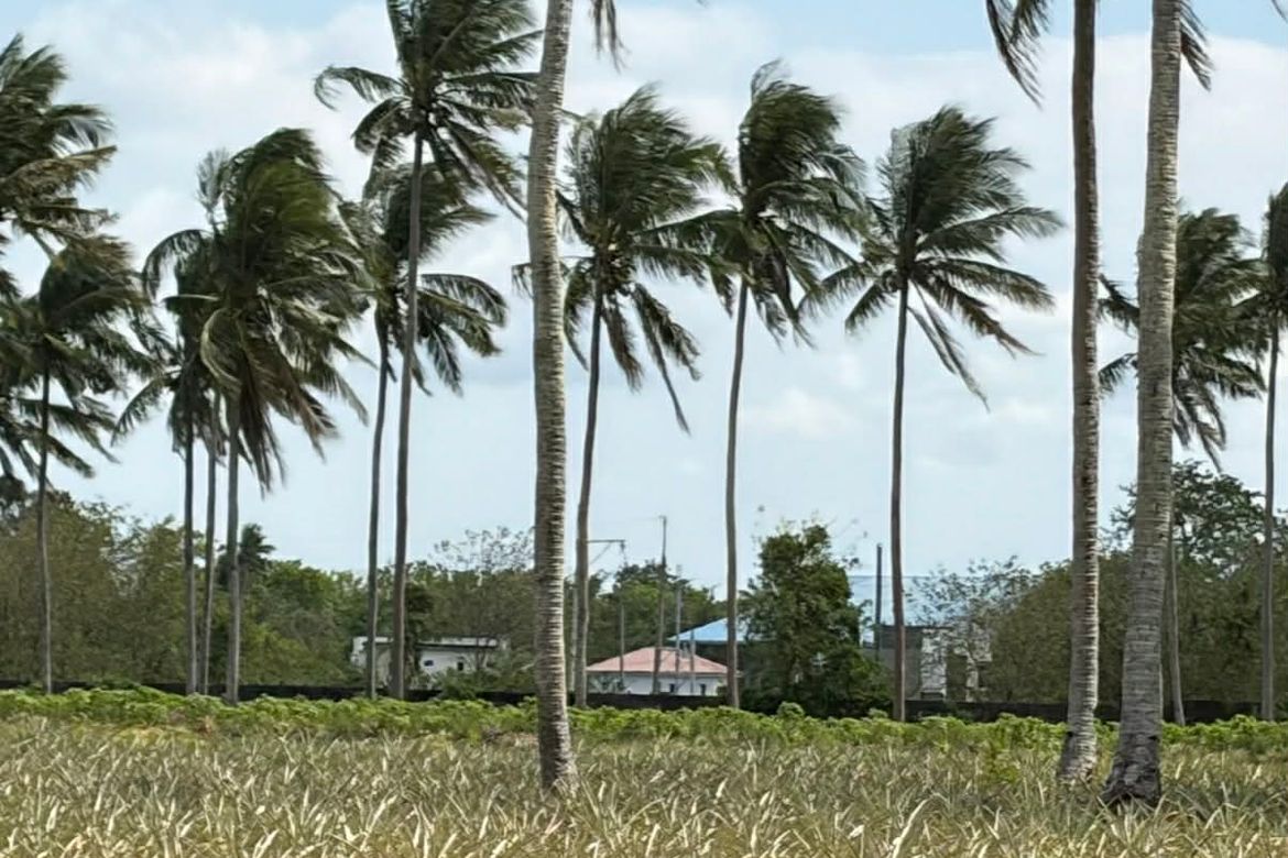 Land for Sale in Santa Isabel, San Pablo, Laguna – photo 3