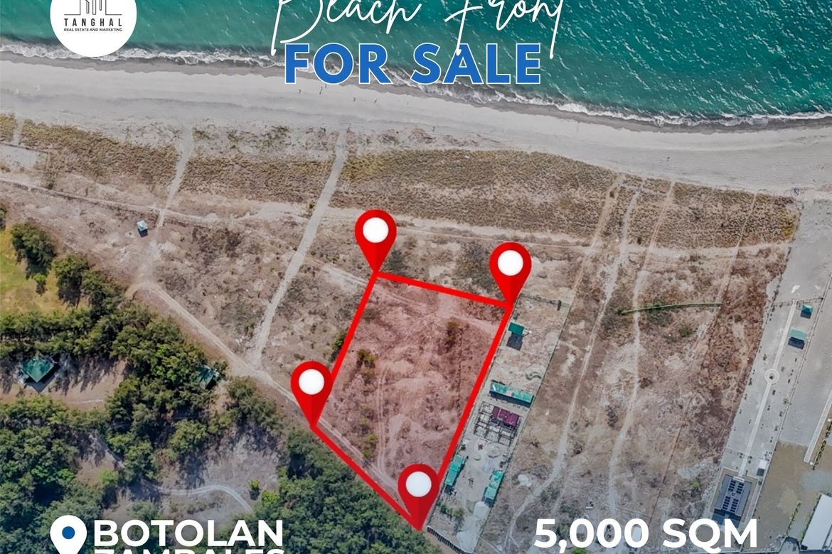 Land for Sale in Santa Juliana, Capas, Tarlac – photo 2