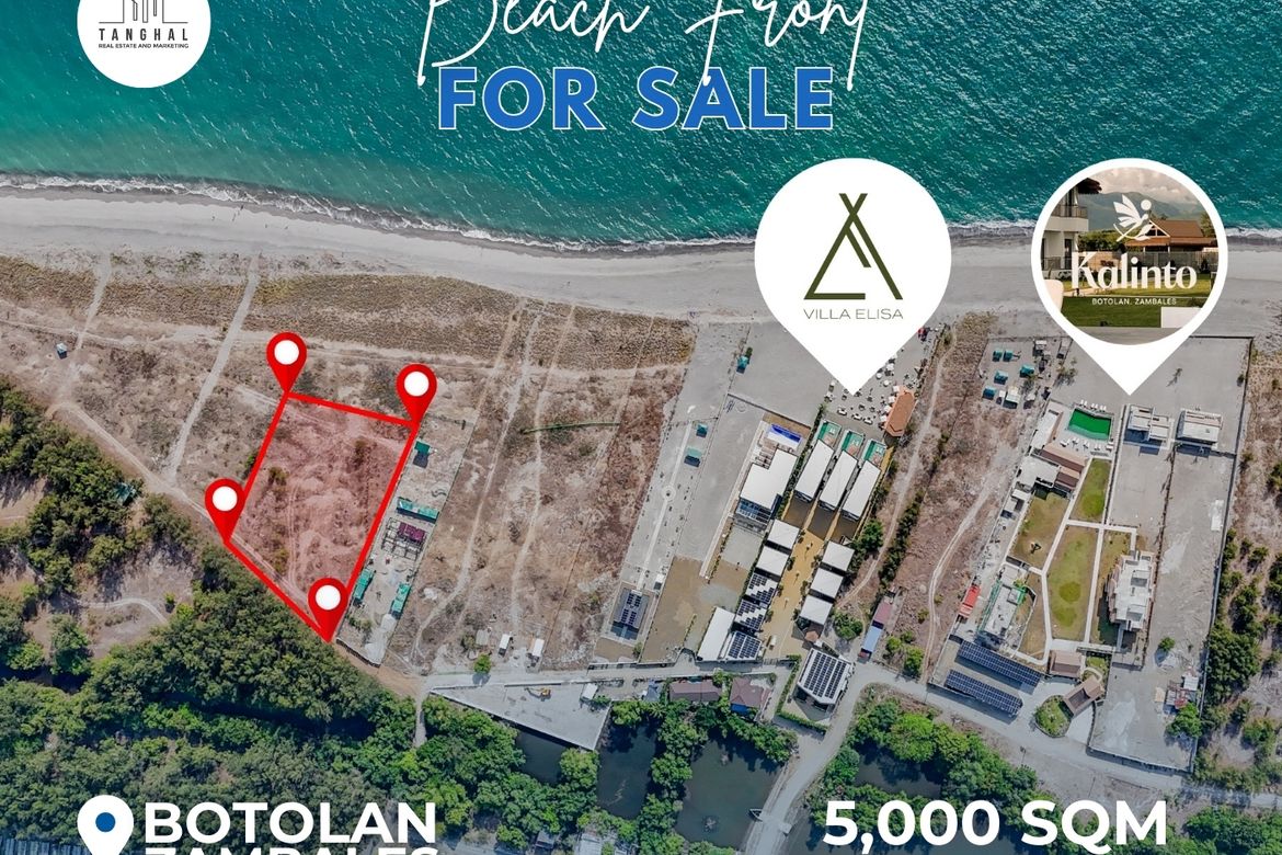 Land for Sale in Santa Juliana, Capas, Tarlac – photo 4