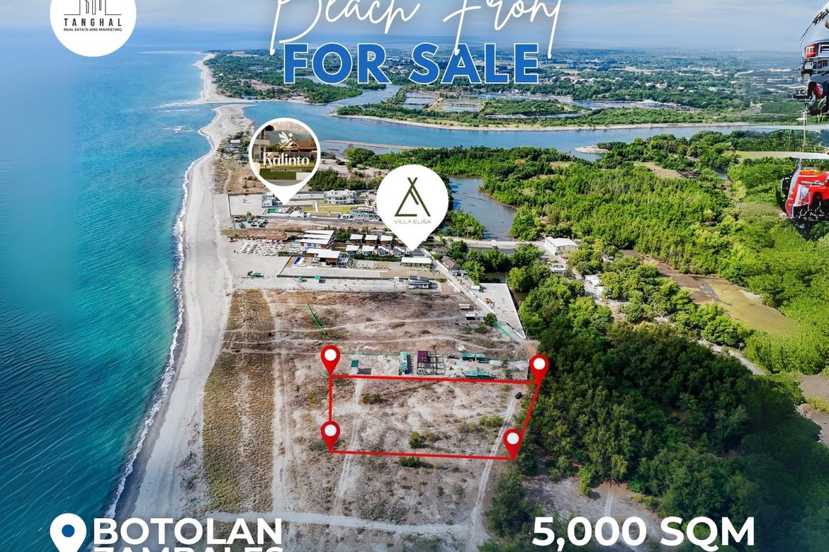 Land for Sale in Santa Juliana, Capas, Tarlac – photo 5