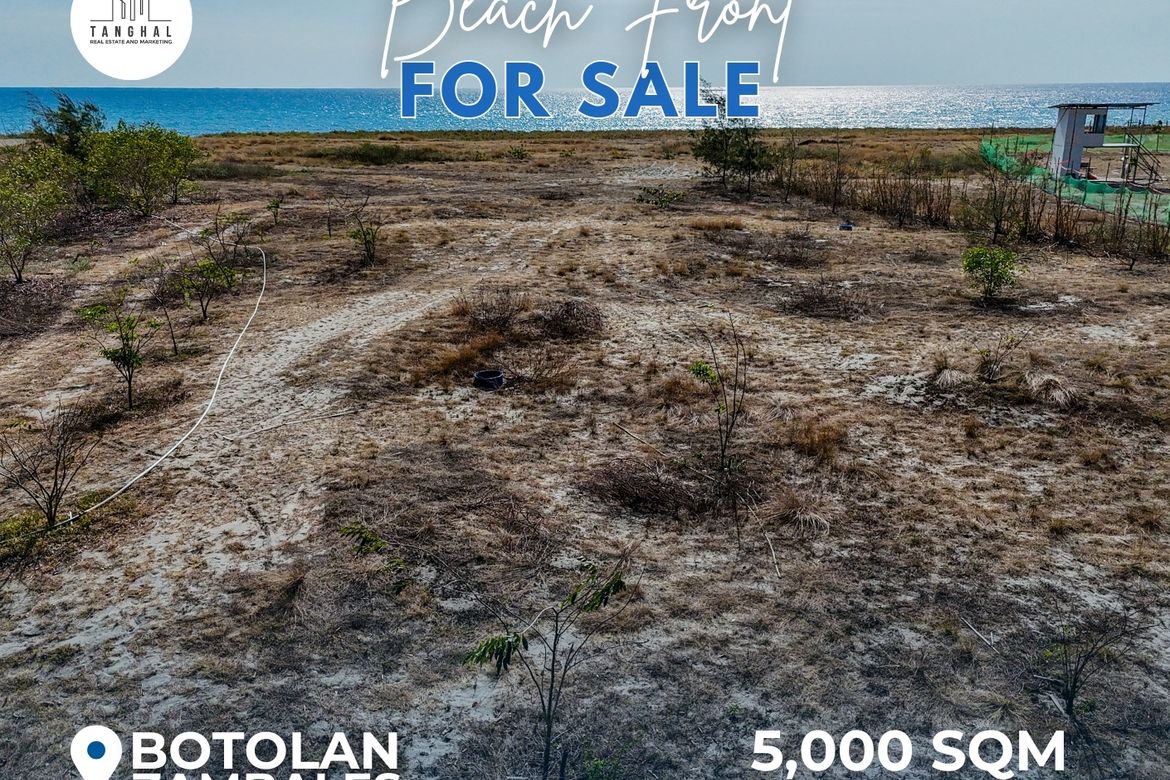 Land for Sale in Santa Juliana, Capas, Tarlac – photo 7