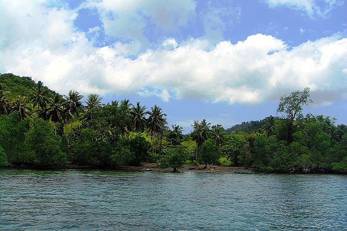 Land for Sale in Santa Lourdes, Puerto Princesa, Palawan – photo 2