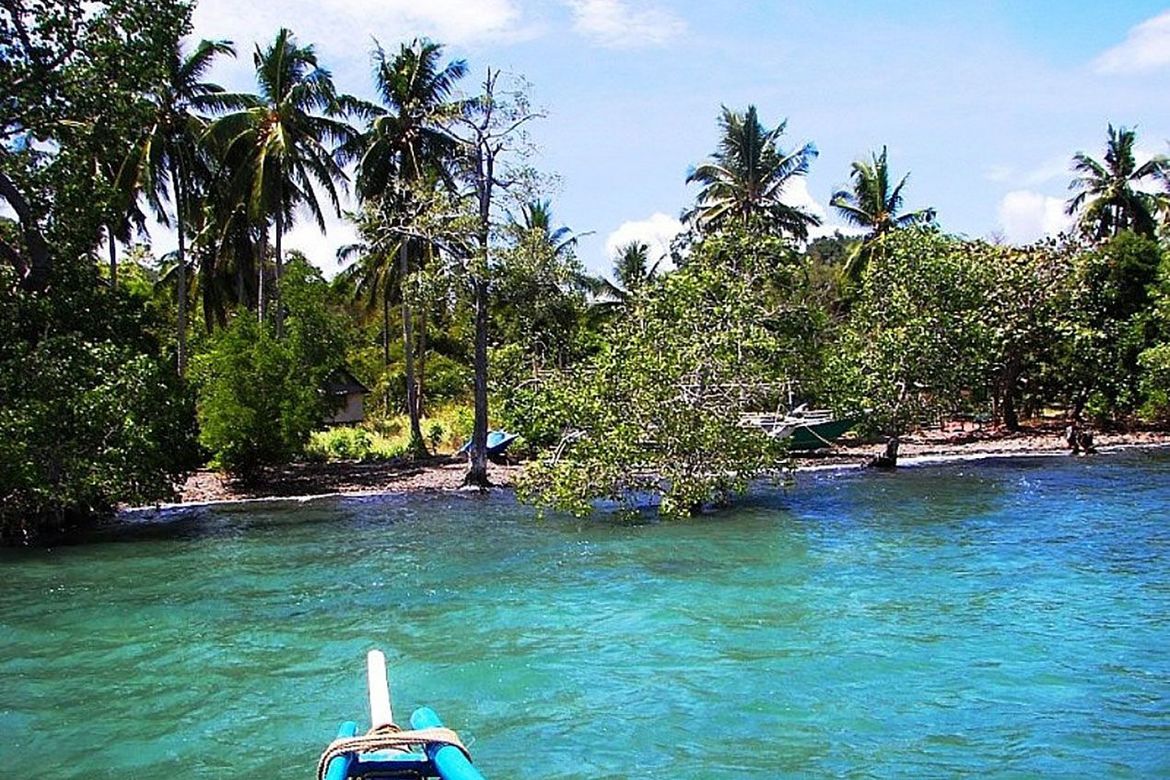 Land for Sale in Santa Lourdes, Puerto Princesa, Palawan – photo 3