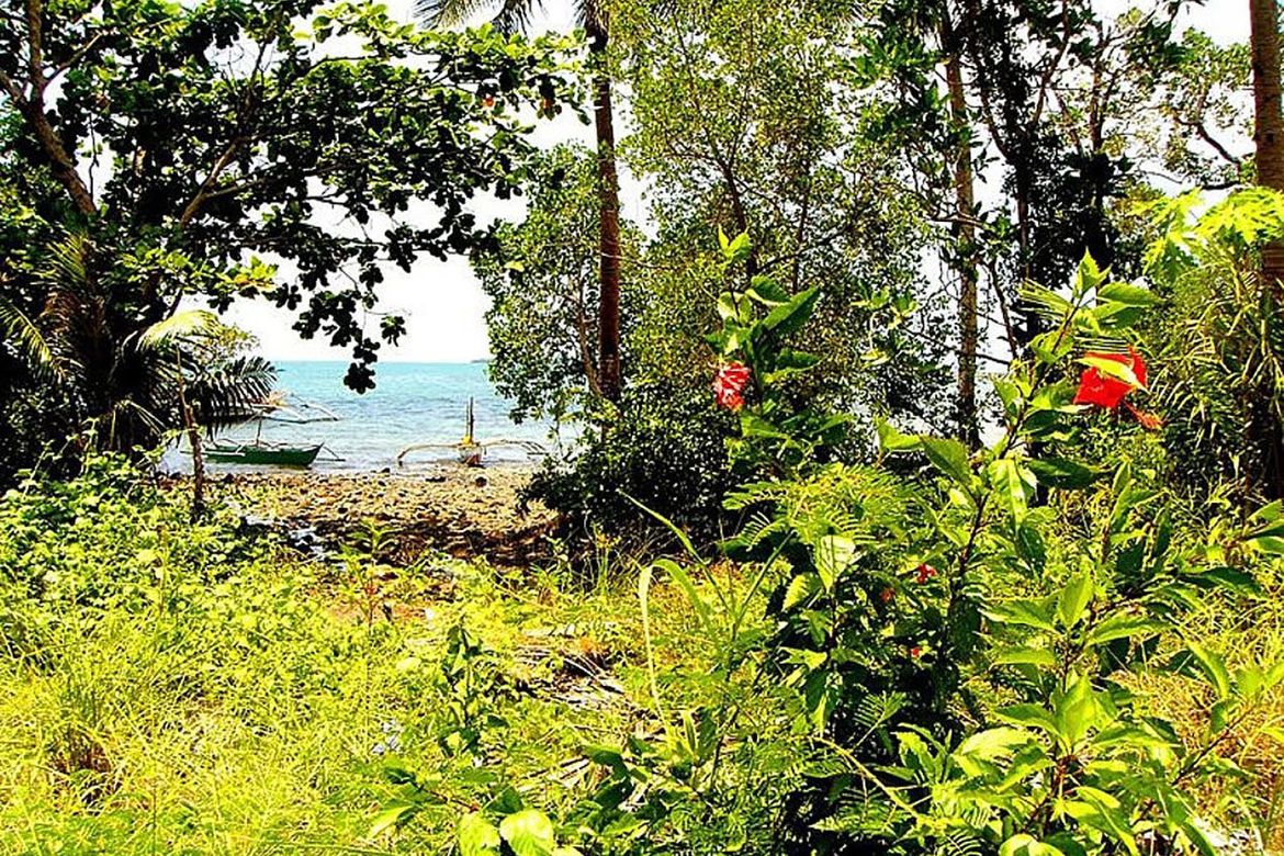 Land for Sale in Santa Lourdes, Puerto Princesa, Palawan – photo 8