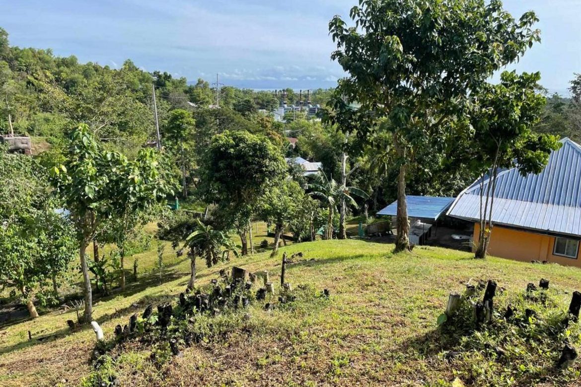 Land for Sale in Santa Lourdes, Puerto Princesa, Palawan – photo 2