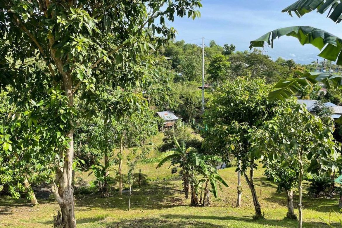 Land for Sale in Santa Lourdes, Puerto Princesa, Palawan – photo 3
