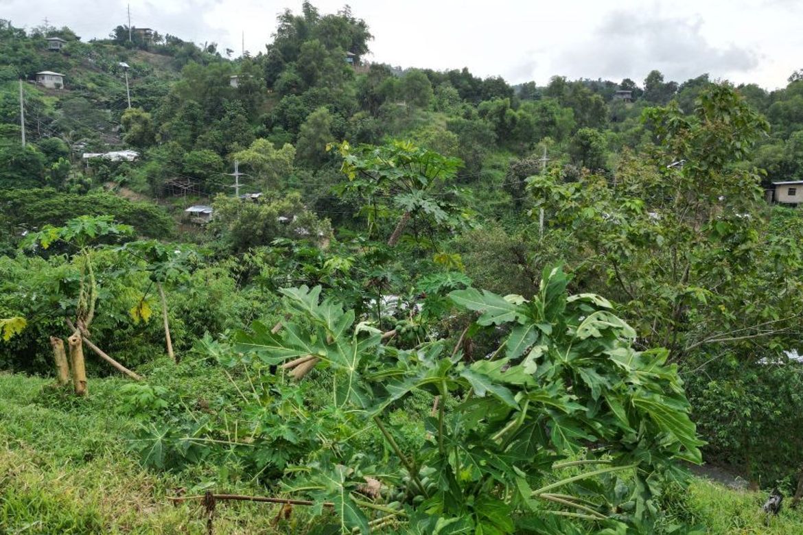 Land for Sale in Santa Lourdes, Puerto Princesa, Palawan – photo 7