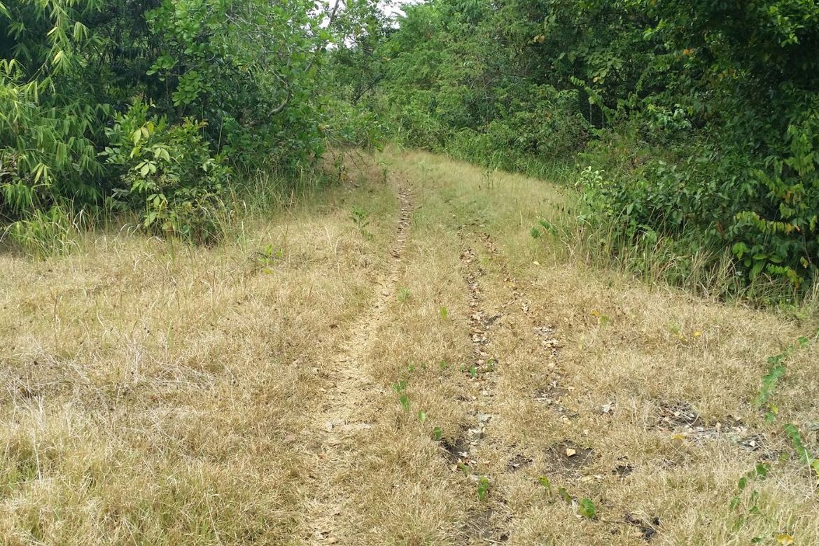 Land for Sale in Santa Lourdes, Puerto Princesa, Palawan – photo 4