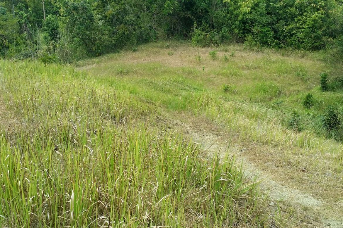 Land for Sale in Santa Lourdes, Puerto Princesa, Palawan – photo 5