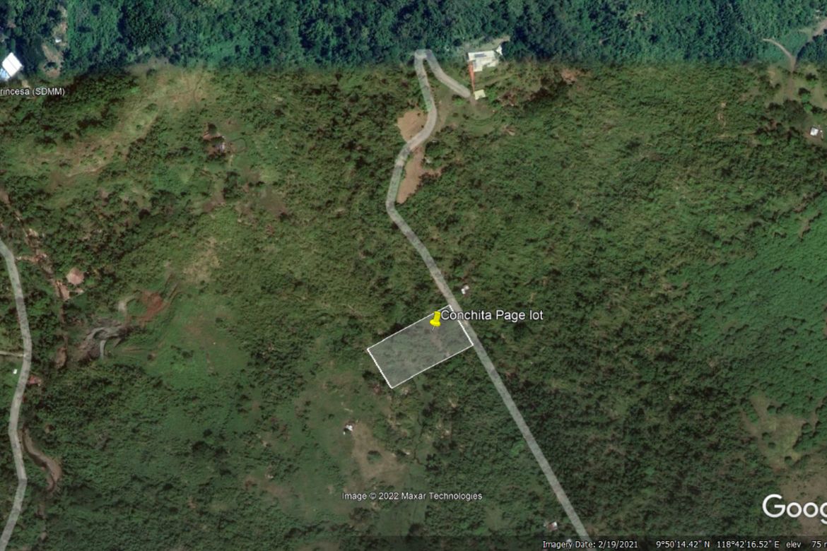 Land for Sale in Santa Lourdes, Puerto Princesa, Palawan – photo 8