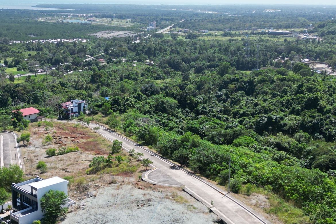 Land for Sale in Santa Lourdes, Puerto Princesa, Palawan – photo 4