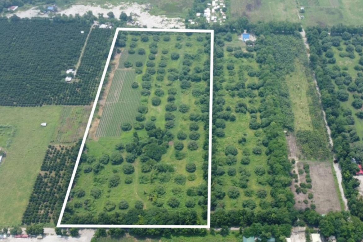 Land for Sale in Santa Lucia, Capas, Tarlac – photo 2