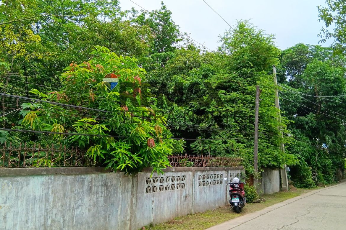 Land for Sale in Santa Maria, Mapandan, Pangasinan – photo 2