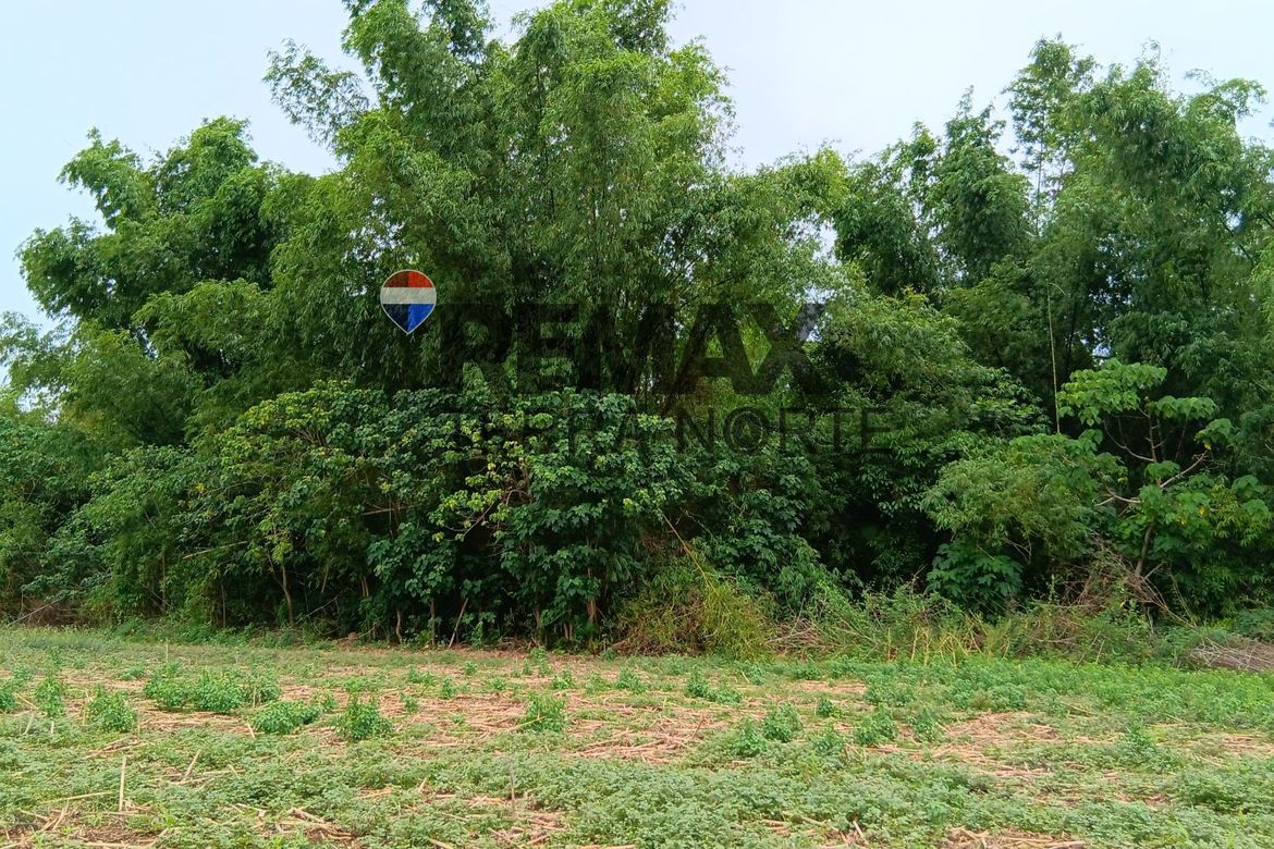 Land for Sale in Santa Maria, Mapandan, Pangasinan – photo 4