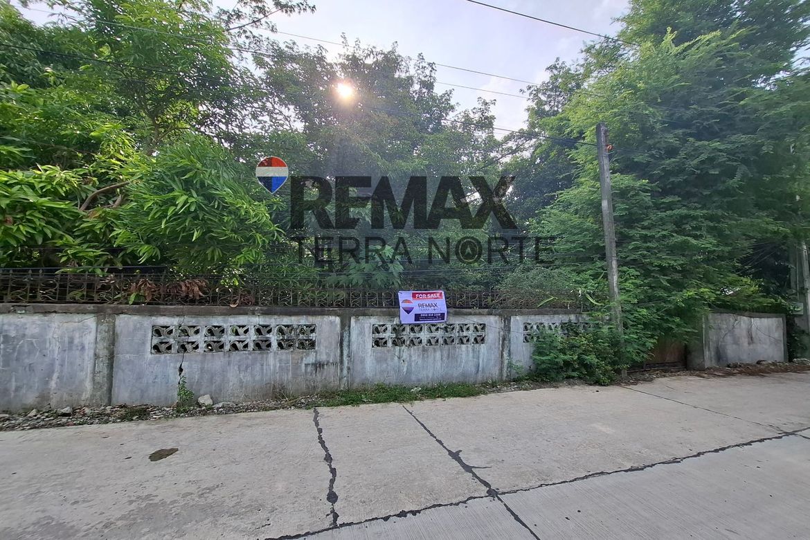 Land for Sale in Santa Maria, Mapandan, Pangasinan – photo 6