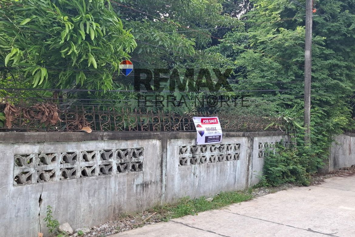 Land for Sale in Santa Maria, Mapandan, Pangasinan – photo 7