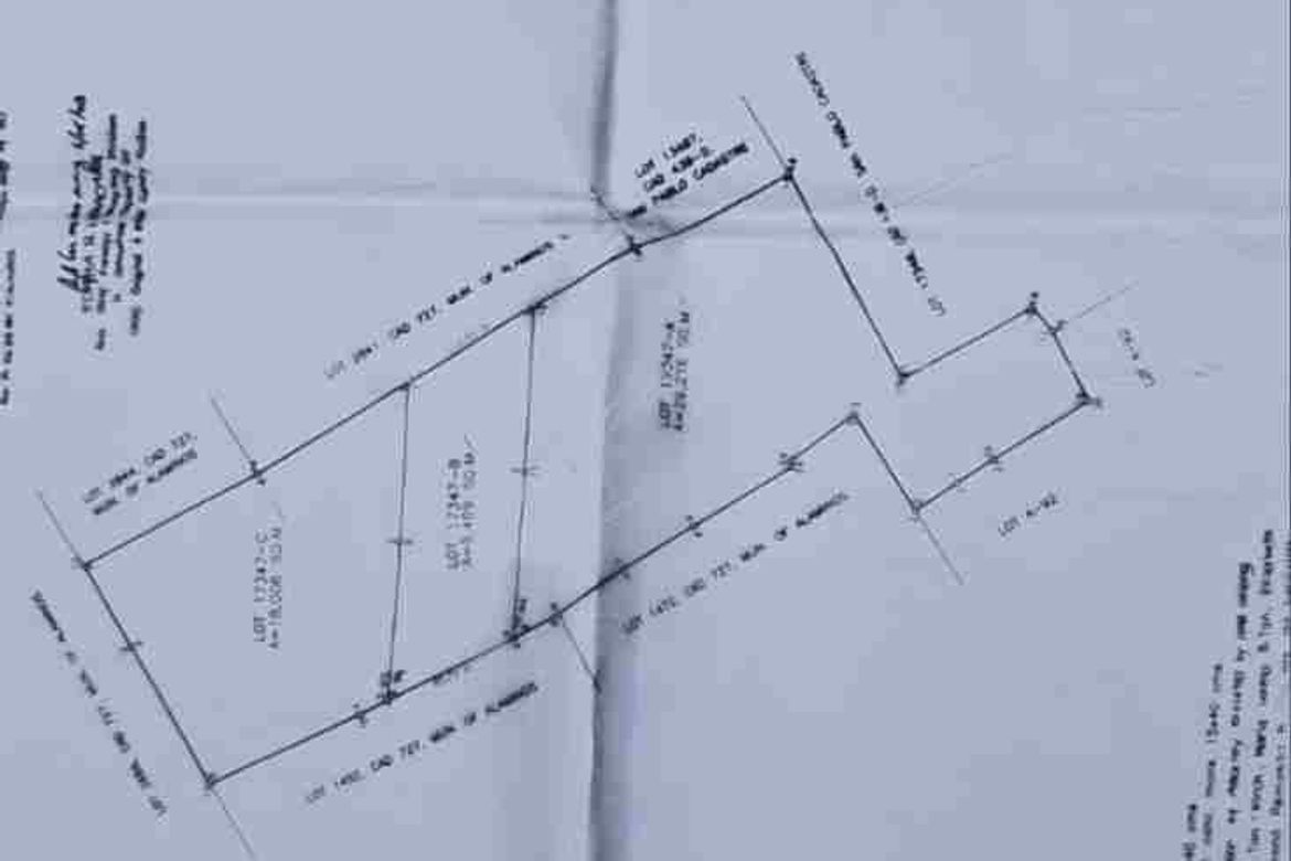 Land for Sale in Santa Maria, San Pablo, Laguna – photo 4