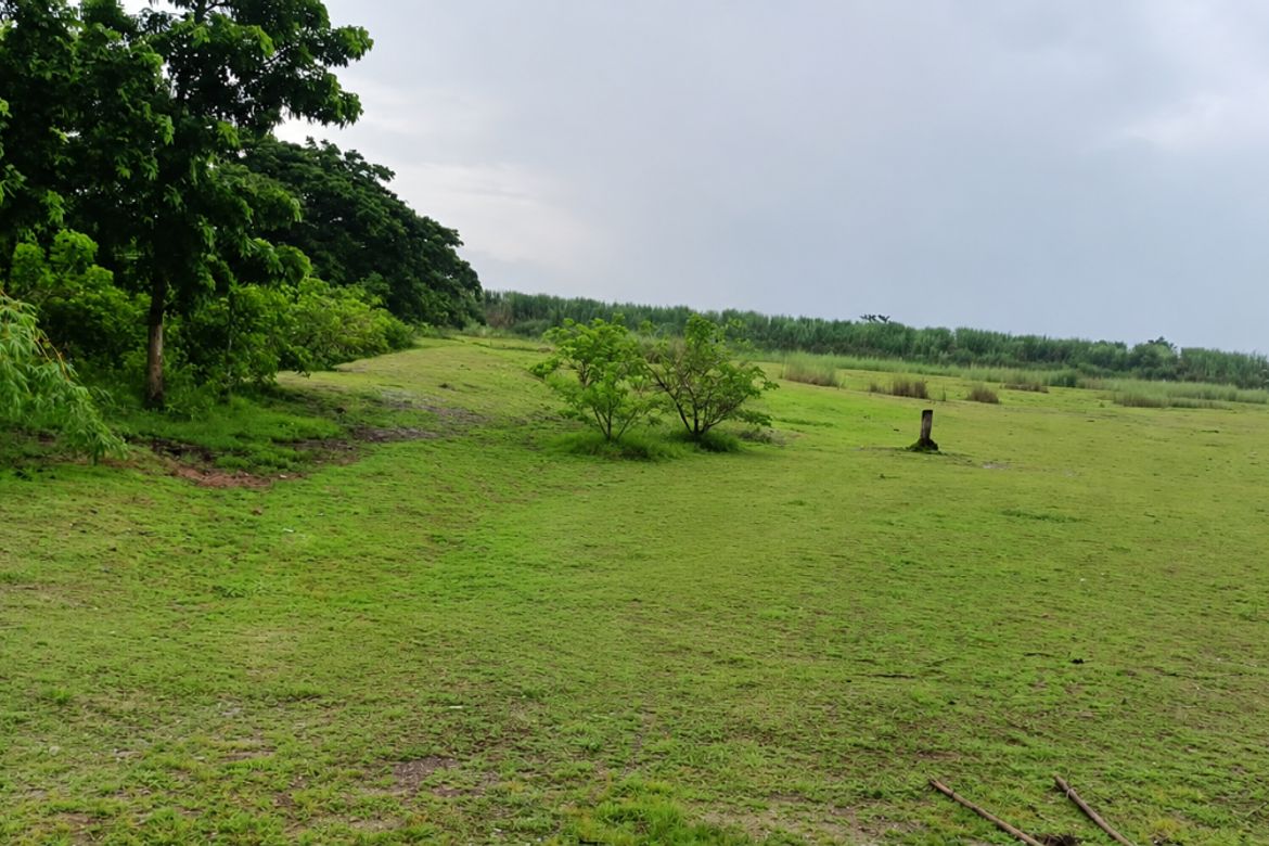 Land for Sale in Santa Maria, Tarlac, Tarlac