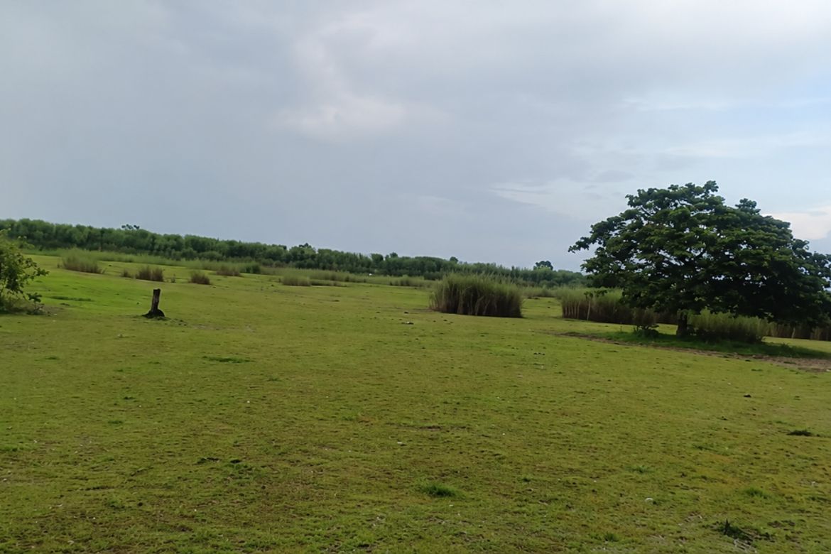 Land for Sale in Santa Maria, Tarlac, Tarlac – photo 3