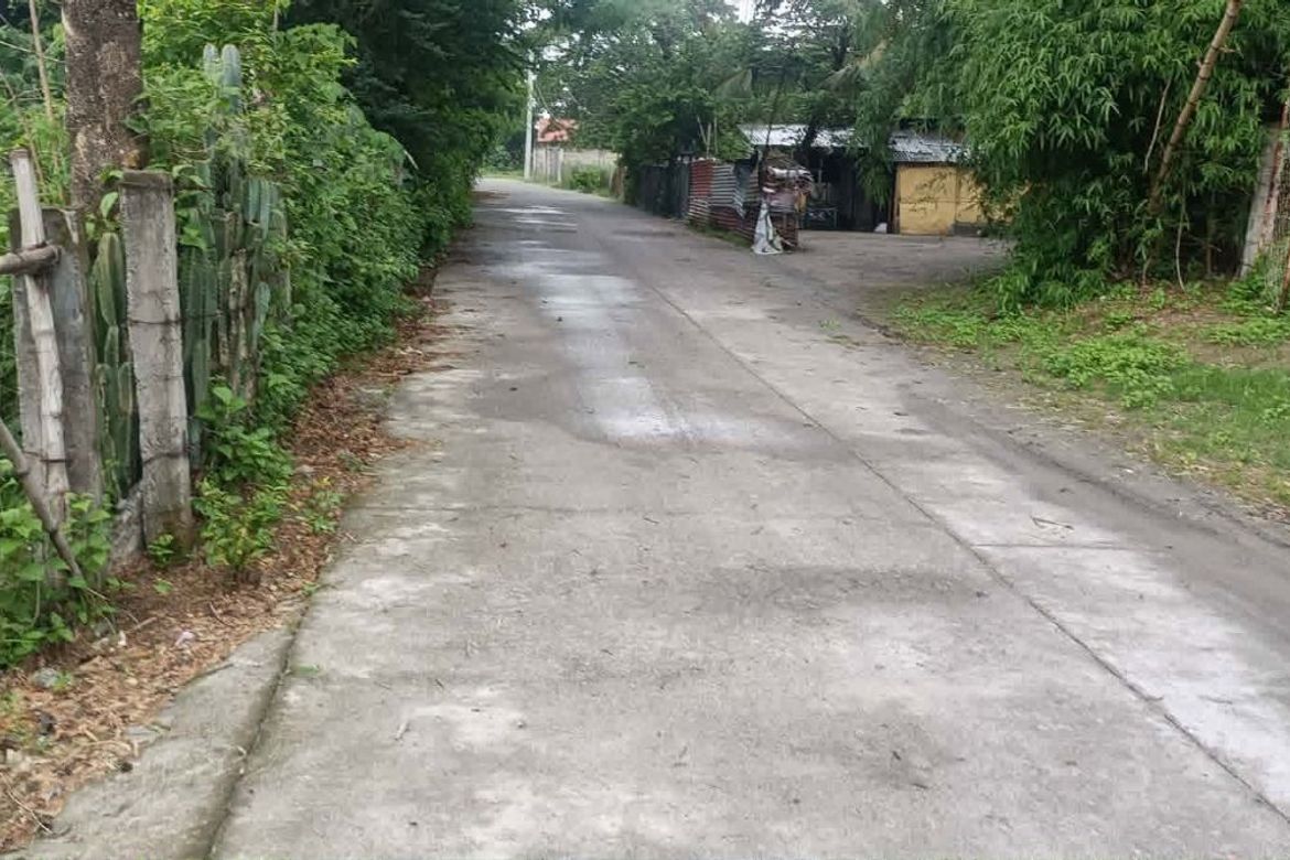 Land for Sale in Santa Maria, Tarlac, Tarlac – photo 4