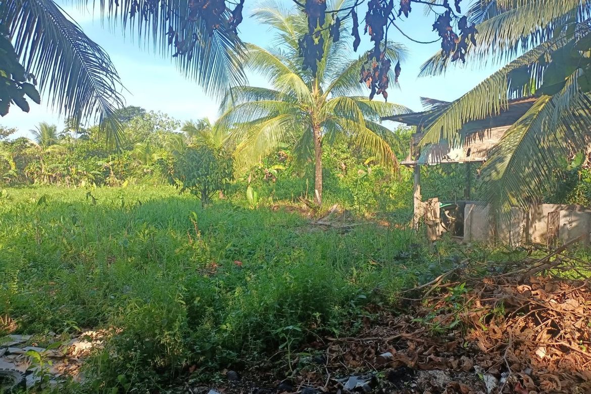Land for Sale in Santa Maria, Trento, Agusan del Sur – photo 4