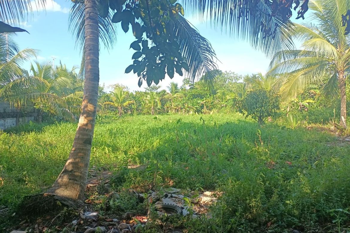Land for Sale in Santa Maria, Trento, Agusan del Sur – photo 5