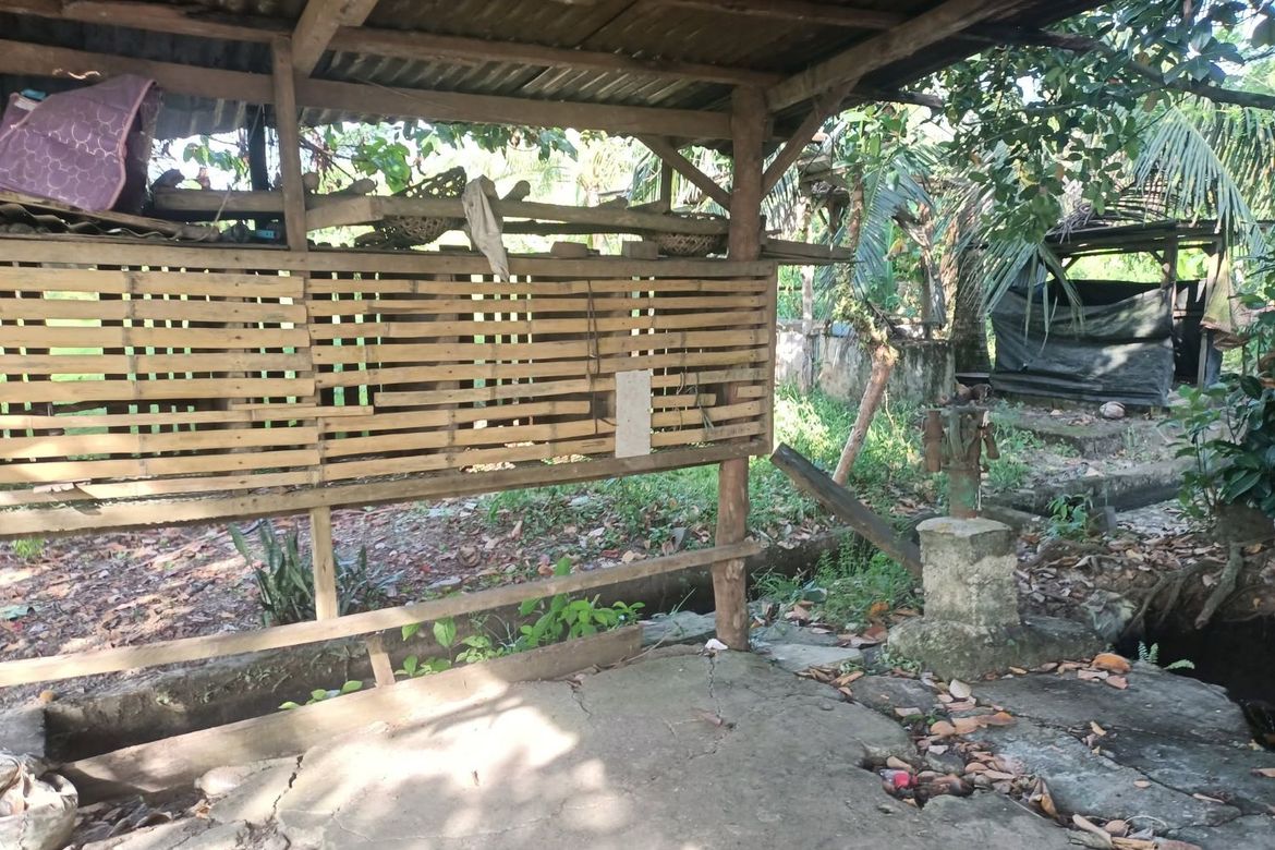 Land for Sale in Santa Maria, Trento, Agusan del Sur – photo 7