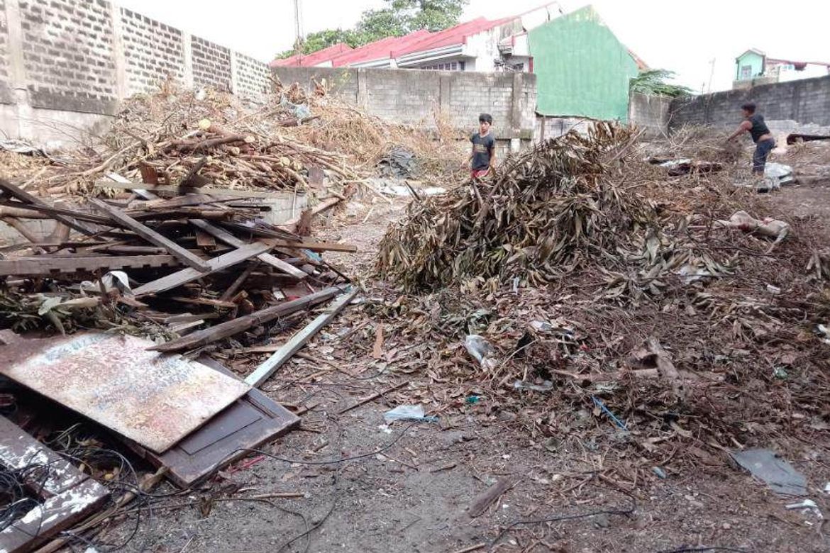 Land for Sale in Santa Mesa, Manila, Metro Manila near LRT-2 V. Mapa – photo 4