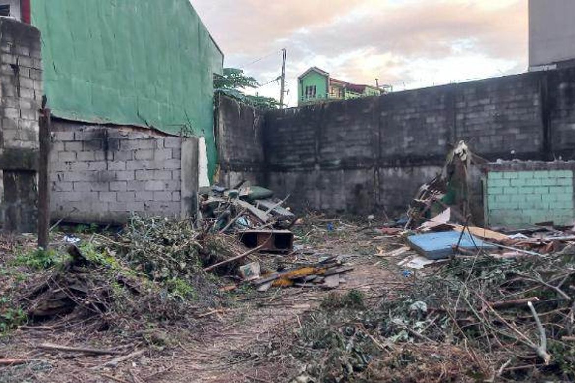 Land for Sale in Santa Mesa, Manila, Metro Manila near LRT-2 V. Mapa – photo 5