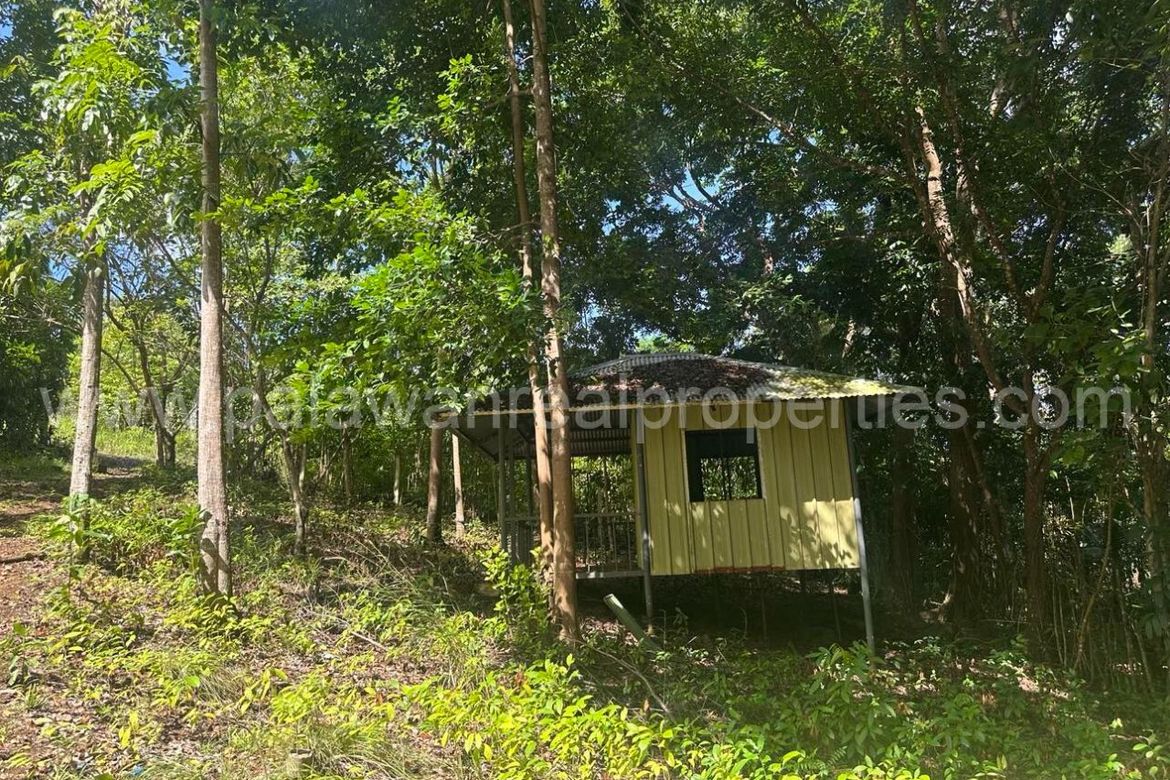 Land for Sale in Santa Monica, Puerto Princesa, Palawan