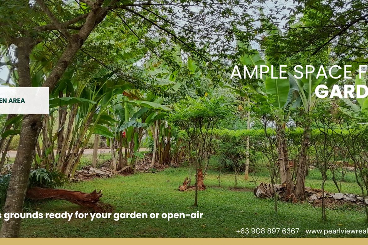 Land for Sale in Santa Monica, Puerto Princesa, Palawan – photo 6