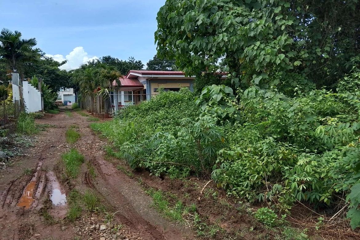 Land for Sale in Santa Monica, Puerto Princesa, Palawan – photo 4