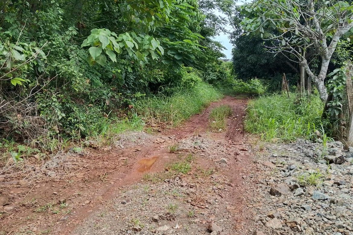 Land for Sale in Santa Monica, Puerto Princesa, Palawan – photo 6